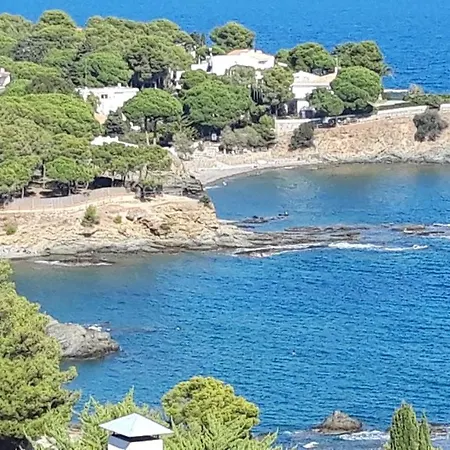 L'armonia Entre La Farella I Cau Del Llop Llança