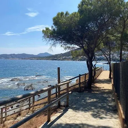 L'armonia Entre La Farella I Cau Del Llop *