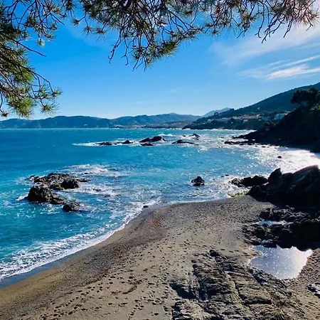 L'armonia Entre La Farella I Cau Del Llop *