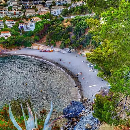 Apartamento L'armonia Entre La Farella I Cau Del Llop *